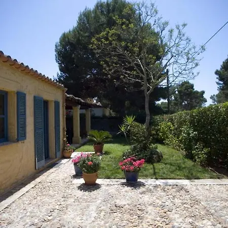 Palma Paradise Villa *